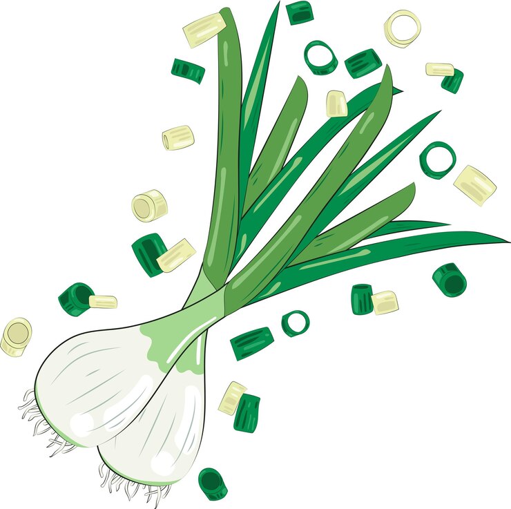 cebola verde picada elemento cebolas fatias ilustração elemento gráfico cartão de arte