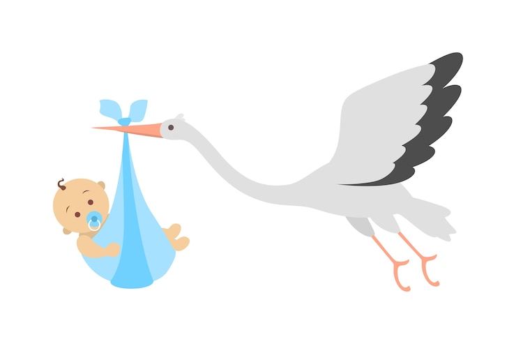 Vetor cegonha-branca voando com um bebê recém-nascido. anúncio do nascimento da criança. cartão para celebração do bebê nascido. ilustração