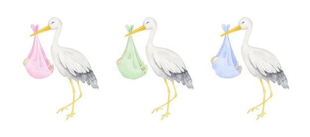 Vetor cegonha com bebê no cobertor conjunto de ilustração de aquarela recém-nascido coleção de elementos de clipart de maternidade isolada em fundo branco