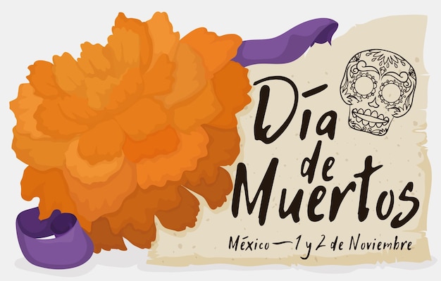 Cempasuchil ou flor de calêndula e pergaminho com caveira com data de lembrete para o dia de muertos mexicano