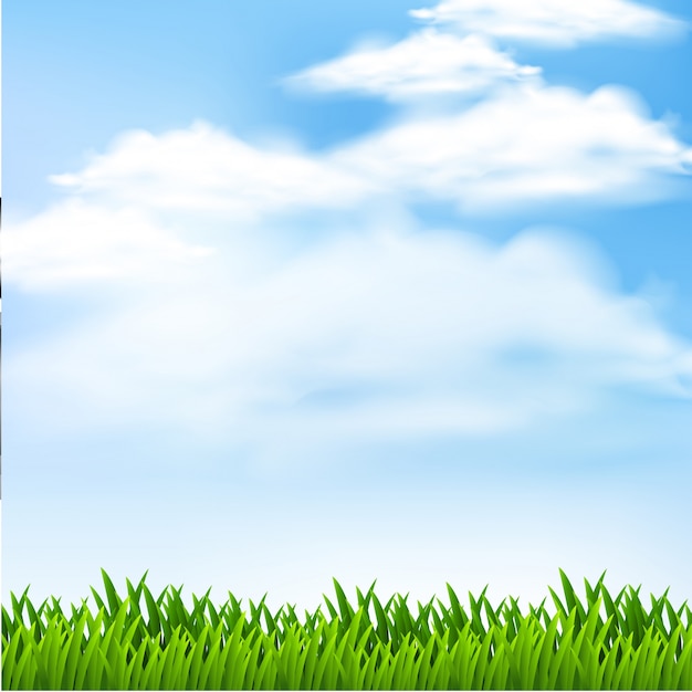 Vetor cena de fundo com grama verde e céu azul