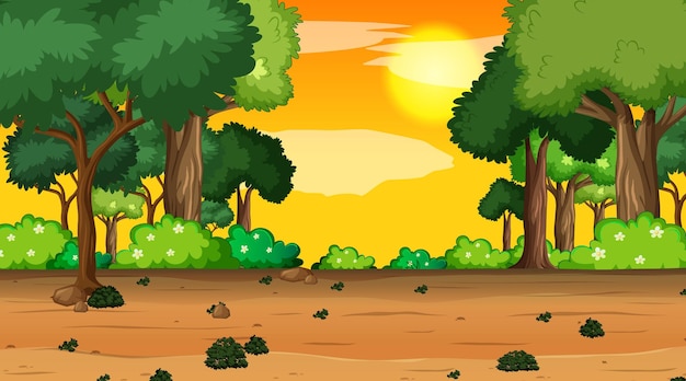 Cena de paisagem em branco de um parque natural no pôr-do-sol