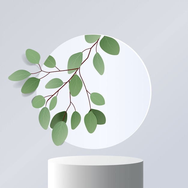 Cena mínima abstrata com formas geométricas. pódio de cilindro em fundo branco com folhas. apresentação do produto. Pódio, pedestal de palco ou plataforma. 3d
