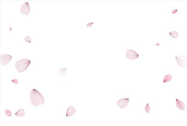Vetor cenário de flores de cerejeira de fundo de vetor de sakura rosa