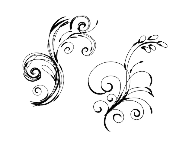 Cenografia decorativa floral criativa ornamental