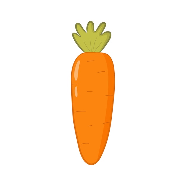 Vetor cenoura colorida fofa em estilo cartoon