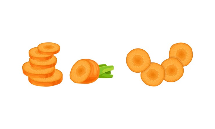 Vetor cenoura em fatias como conjunto de vetores de vegetais de raiz laranja