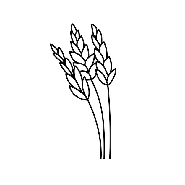 Cereais de trigo em estilo doodle ilustração vetorial