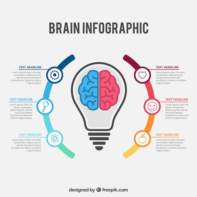 Cérebro colorido modelo de infográfico