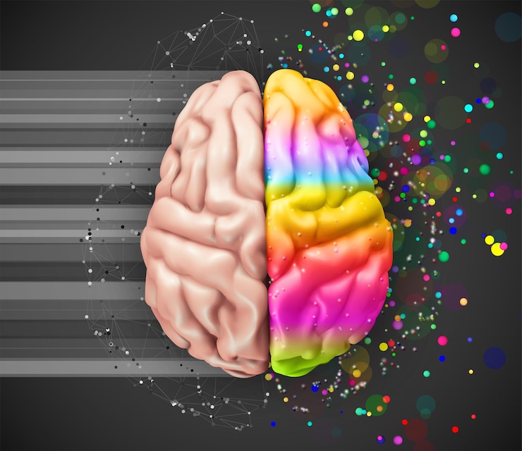 Vetor cérebro vetorial humano malha hemisférios lógicos e criativos cores brilhantes aprendizagem e desenvolvimento pessoal
