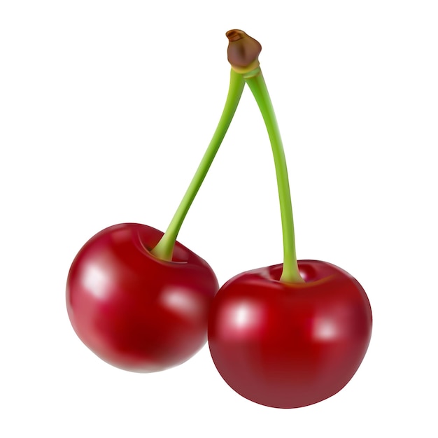 cereja isolada cereja madura doce com folhas isoladas em fundo branco pilha de cerejas doces
