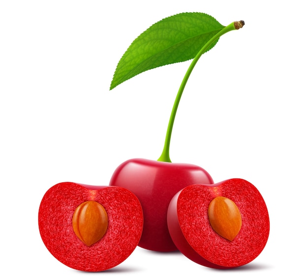 Cerejas maduras com folhas isoladas sobre um fundo branco Cereja vermelha inteira e meia cereja com núcleo