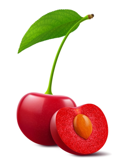 Cerejas maduras com folhas isoladas sobre um fundo branco Cereja vermelha inteira e meia cereja com núcleo
