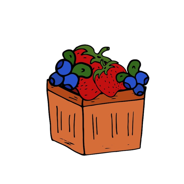 Vetor cesta com morango e mirtilo isolado doodle vetor conceito bagas de verão comida saudável