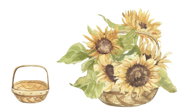 Cesta de vime com flores de girassol