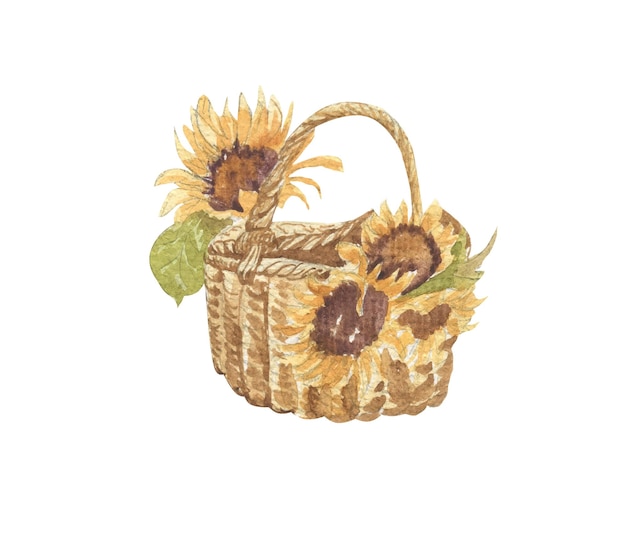 Vetor cesta de vime com flores de girassol