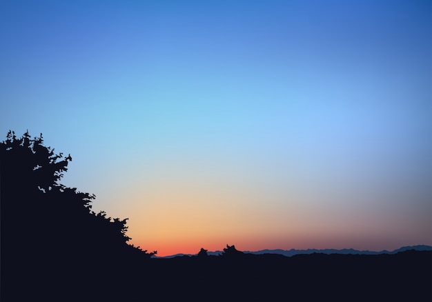 Vetor céu amanhecer, com, mostrado silhueta, plantas