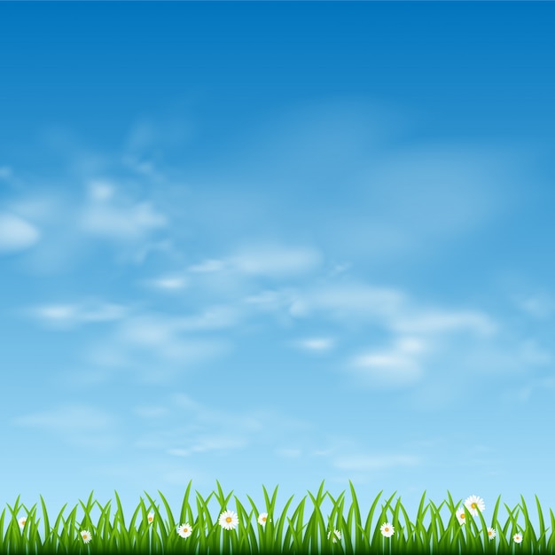 Vetor céu azul ensolarado e fronteira de grama verde