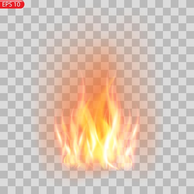 Chamas de fogo isoladas em fundo transparente Vector efeito especial realista