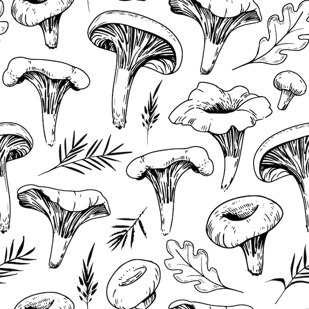 Vetor chanterelle cogumelos desenho sem costura ilustração vetorial