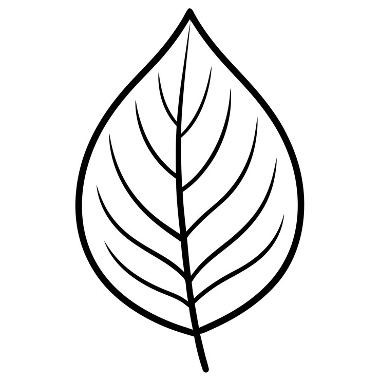 Vetor charm leaf arte vetorial desenho de ilustrações para conteúdo natural