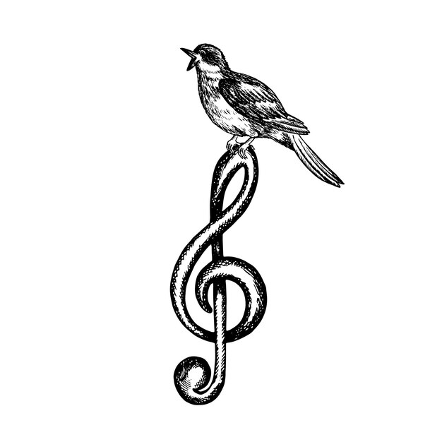 Vetor chave de aguda musical com um rouxinol cantor ilustração gráfica vetorial preto e branco