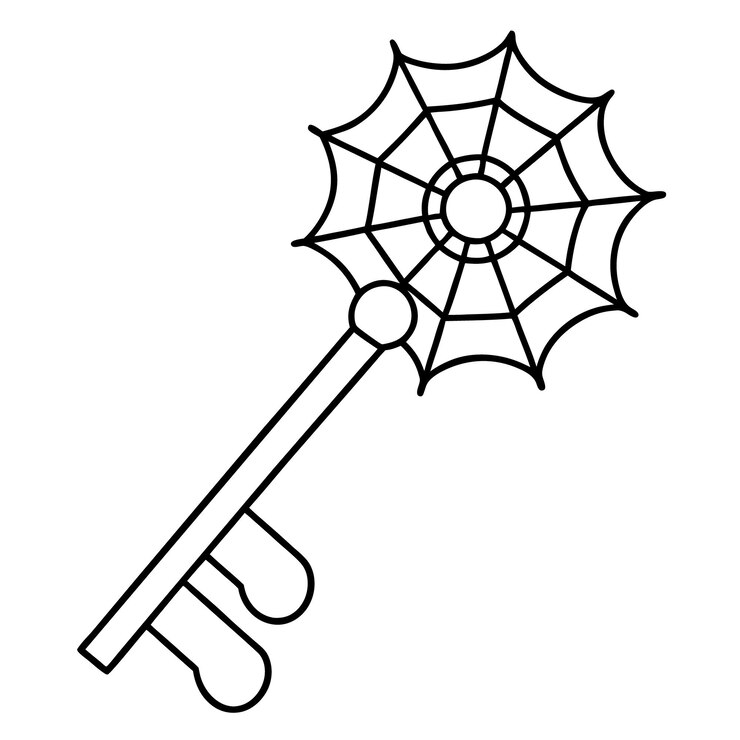 Vetor chave esqueleto com um vetor de arte de design de teia de aranha