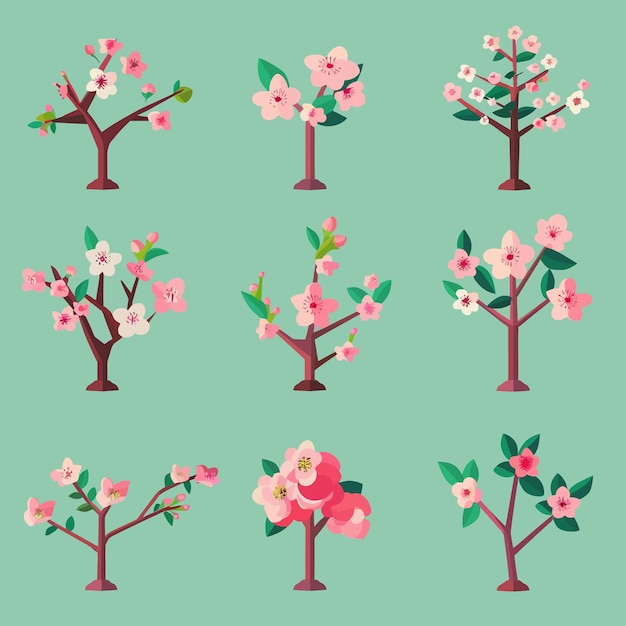 Cherry_blossom_branches_vector