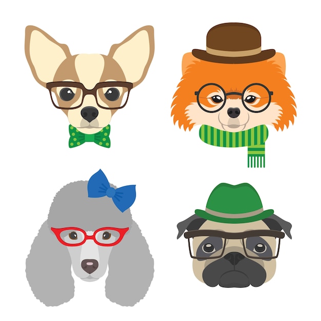 Chihuahua, pug, poodle, pomeranian óculos usando óculos e acessórios em estilo simples.