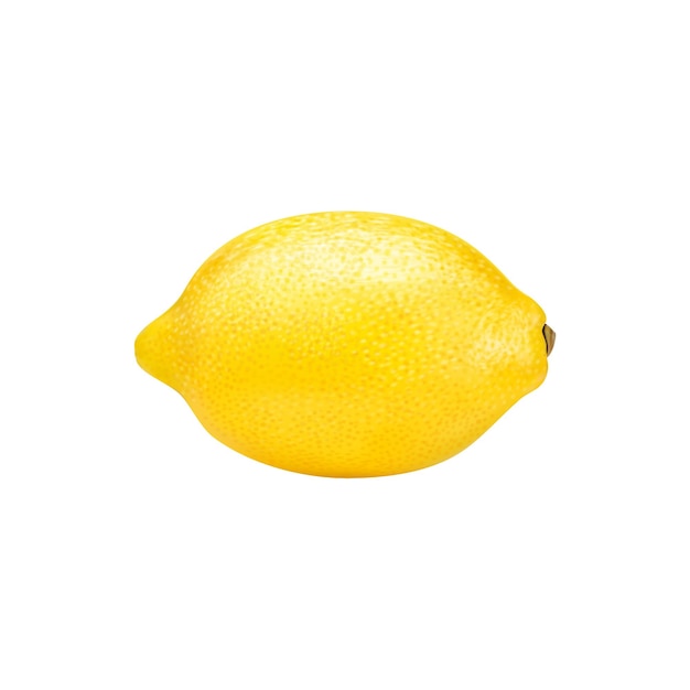 Vetor citrinos amarelos maduros e realistas