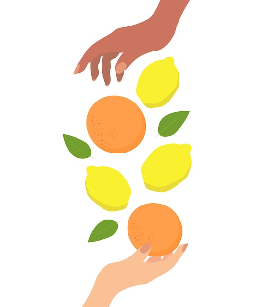 Citrus nas mãos Lojas locais Ilustração isolada em fundo branco