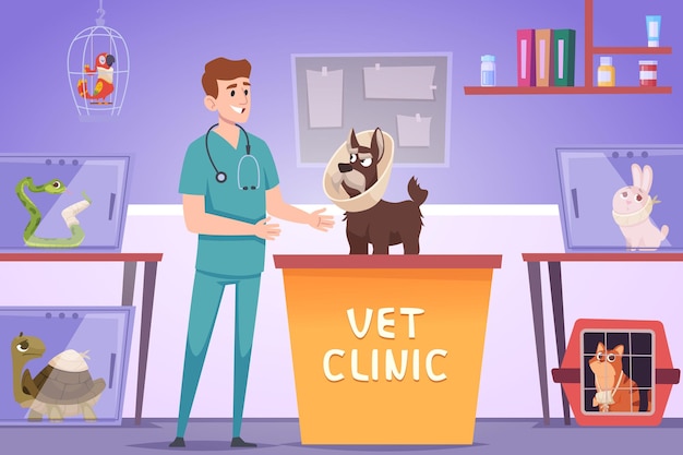 Clínica veterinária Tratamento de animais doentes após cirurgia Clínica médica de vetores exatos para animais de estimação domésticos