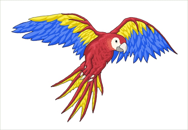 Clip-art com papagaio colorido desenhado à mão