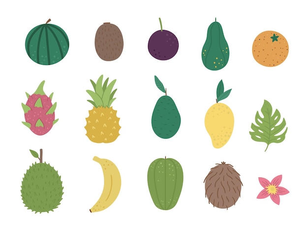 Clip-art de frutas tropicais e bagas