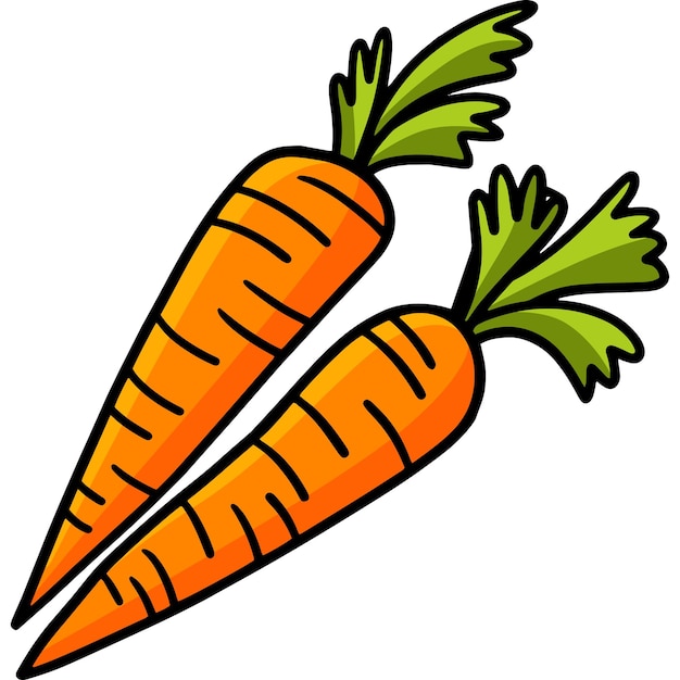 Clipart colorido de desenho de cenoura vegetal