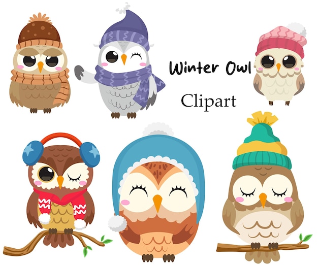 Clipart da Coruja de Inverno