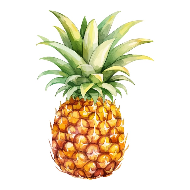 Clipart de aquarela de frutas de abacaxi