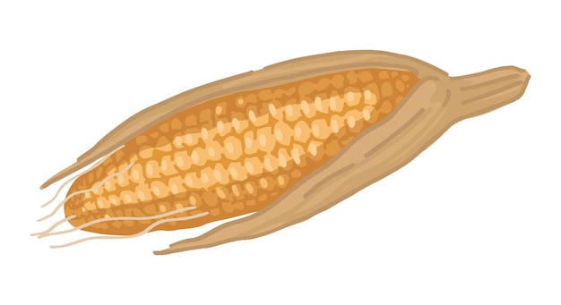 Vetor clipart de espiga de milho doodle de colheita agrícola de outono ilustração vetorial de desenhos animados isolada em fundo branco