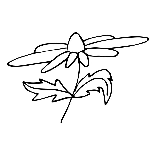 Clipart de flor vetorial simples ilustração floral desenhada à mão ícone de doodle de primavera