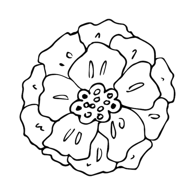 Clipart de flor vetorial simples ilustração floral desenhada à mão ícone de doodle de primavera