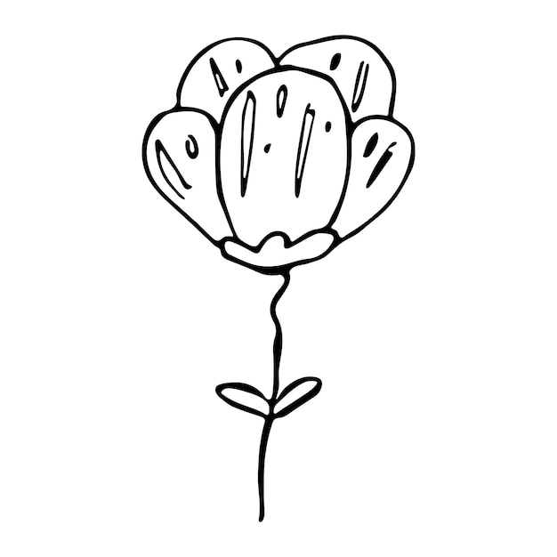 Clipart de flor vetorial simples ilustração floral desenhada à mão ícone de doodle de primavera