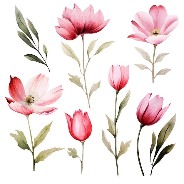 Clipart de flores em aquarela de vetor