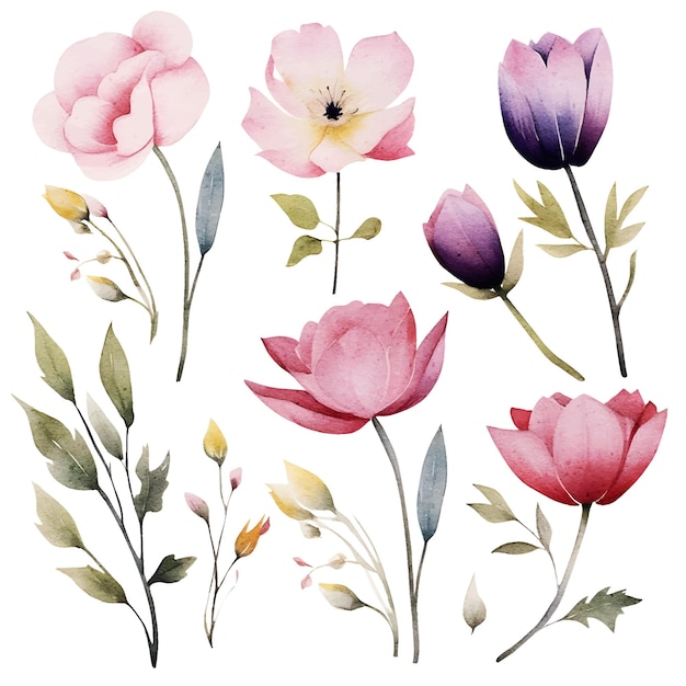 Vetor clipart de flores em aquarela de vetor