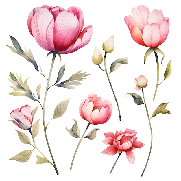 Clipart de flores em aquarela de vetor