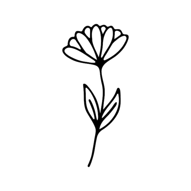 Clipart floral de ervas desenhado à mão vetor de doodle de uma linha