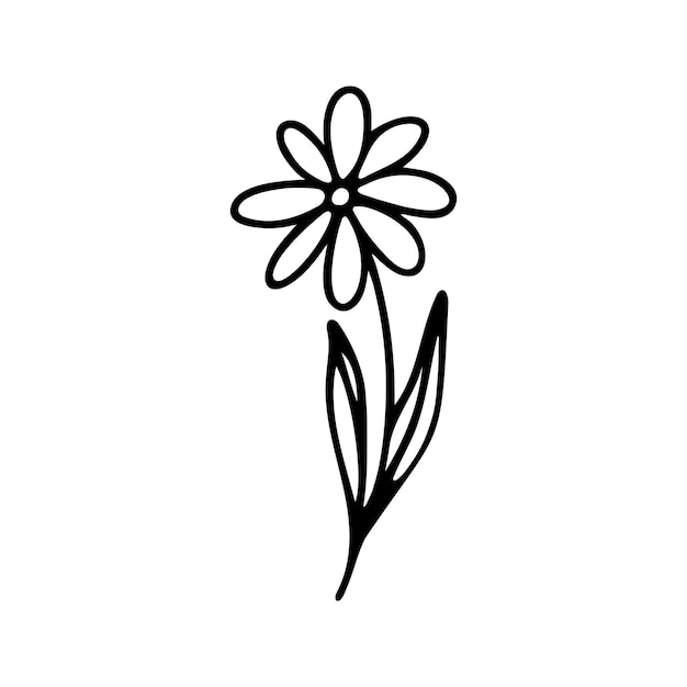 Clipart floral de ervas desenhado à mão vetor de doodle de uma linha