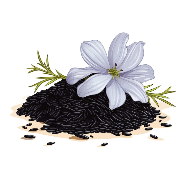 Vetor clipart vetorial de cominho preto com fundo branco