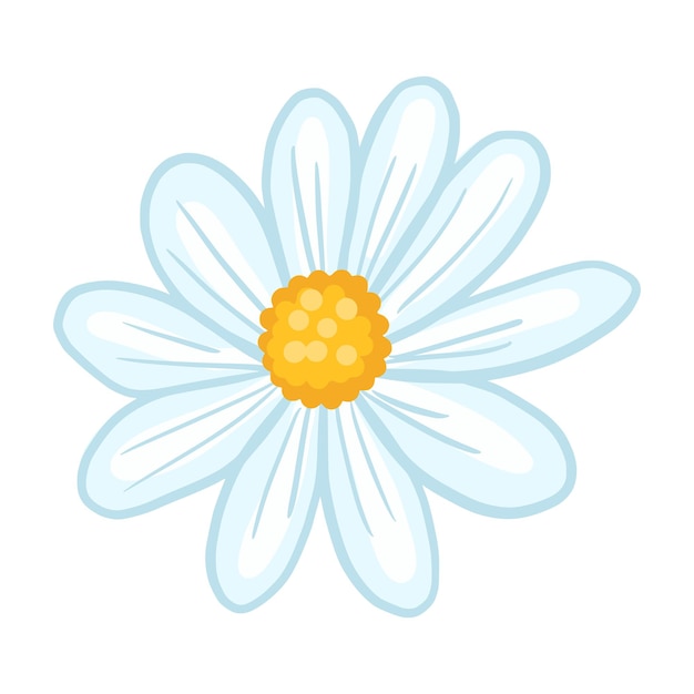 Vetor closeup de camomila isolado no fundo branco. flor de primavera em estilo doodle para qualquer finalidade. ilustração vetorial.