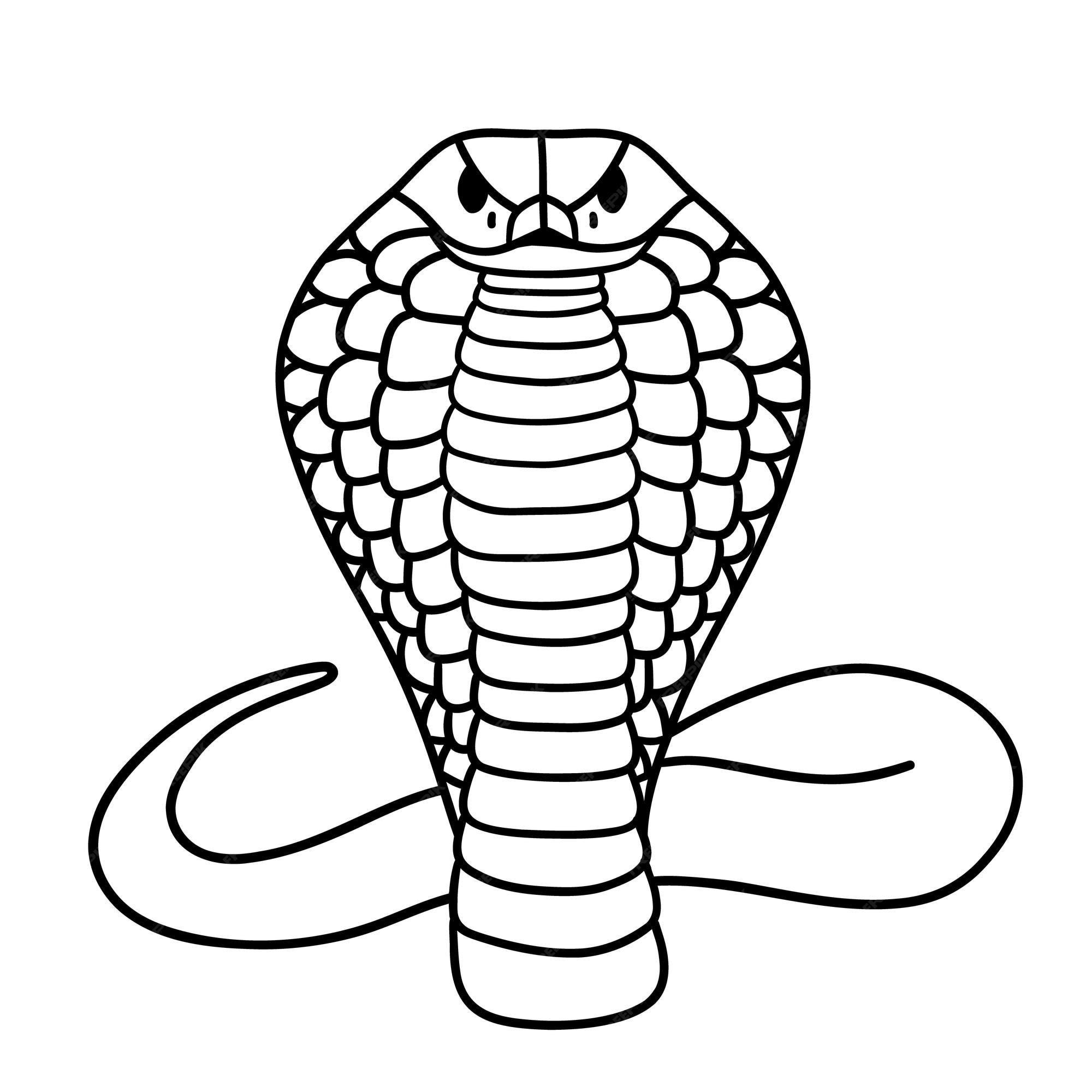 Cobra De Desenho Em Fundo Branco Ilustração do Vetor - Ilustração de preto,  cascavel: 148485692