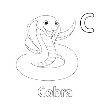 alfabeto de livro de colorir de animais. isolado no fundo branco. cobra de  cobra de desenho vetorial. 7719269 Vetor no Vecteezy